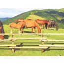 Woodline Pferdekoppel-Pfahl europ Kastanie 200cm
