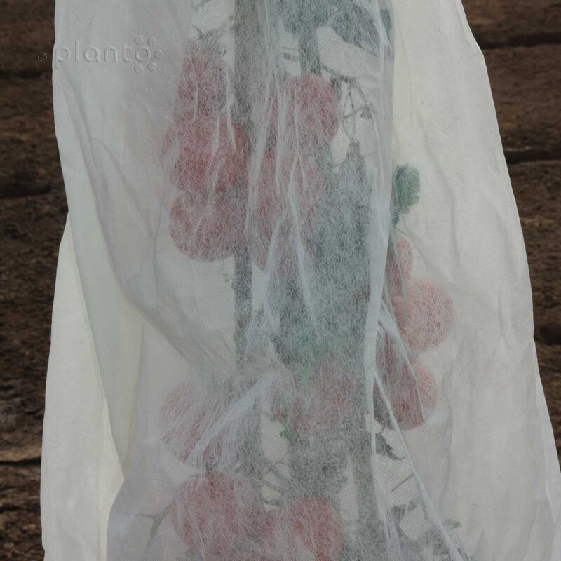 Planto Pro Bio Tomaten-Reifevlies 6 m x 0,74 m