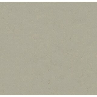 Forbo Linoleum Marmoleum Click - Orbit 60 x 30 cm - 9,8 mm - 1,26 qm