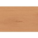 Bergland Parkett Landhausdiele Buche 1-Stab Bregenz 15mm - 15cm - 2,28qm