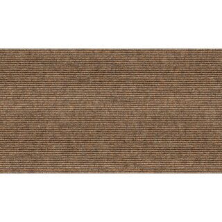 571 Sahara