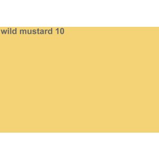 wild mustard 10